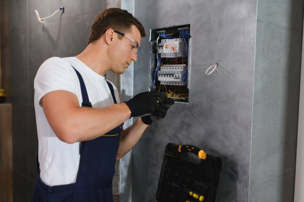 Best Affordable Electrician  in South Monroe, MI