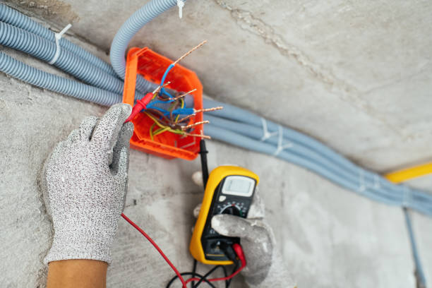 Best Electric Panel Repair  in South Monroe, MI